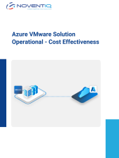 AVS Cost Optimization